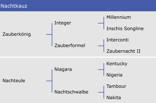 Nachtkauz Millennium Inschis Songline Interconti Zaubernacht II Integer Zauberformel Zauberkönig Kentucky Nigeria Tambour Nakita Niagara Nachtschwalbe Nachteule