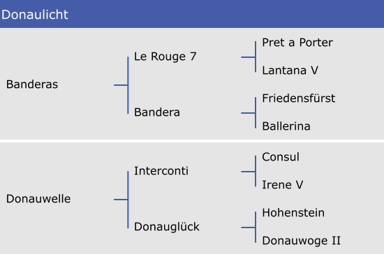 Donaulicht Pret a Porter Lantana V Friedensfürst Ballerina Le Rouge 7 Bandera Banderas Consul Irene V Hohenstein Donauwoge II Interconti Donauglück Donauwelle