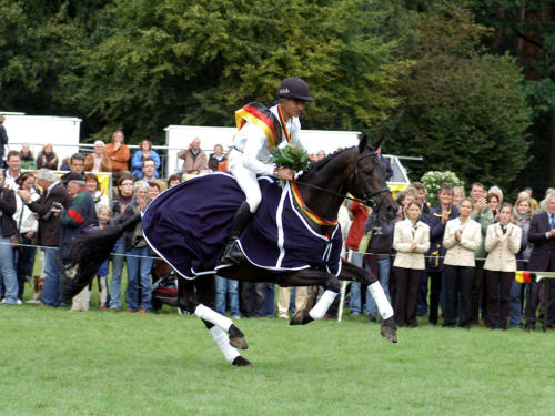 HERZOG TSF - Bundeschampion 2009 der 6-jährigen Vielseitigkeitspferde
