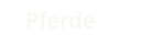 Pferde